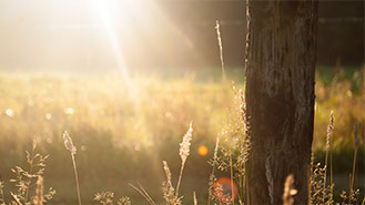 电话在线轰炸网页版