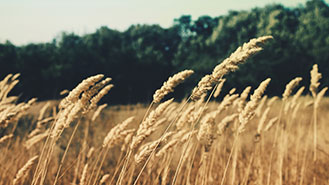 短信轰炸机网页版在线