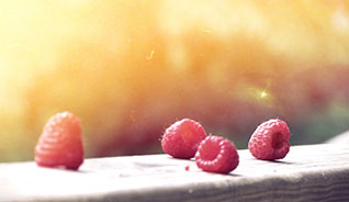 手机号轰在线轰炸免费下载